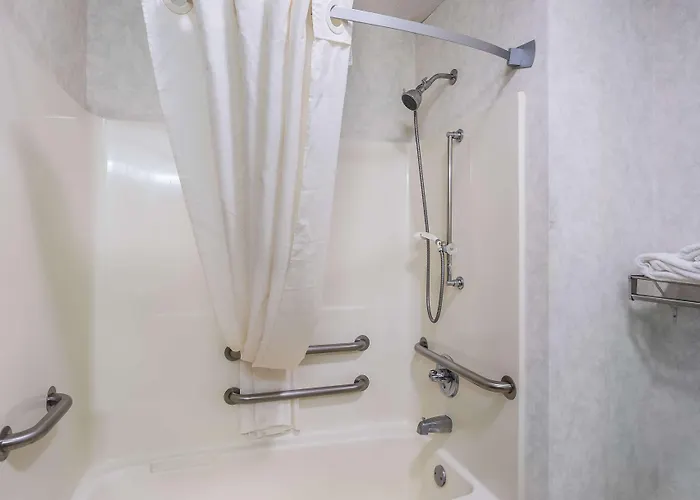 Motel Americas Value Inn-wenona 2*